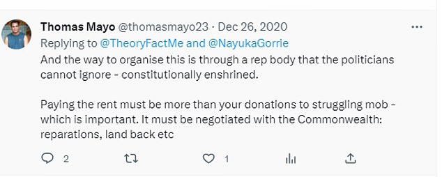 Daily Mail Australia obtained a series of old tweets dating back to 2018 and published by Thomas Mayo, an architect of the Voice referendum question and signatory of the Uluru Statement of the Heart