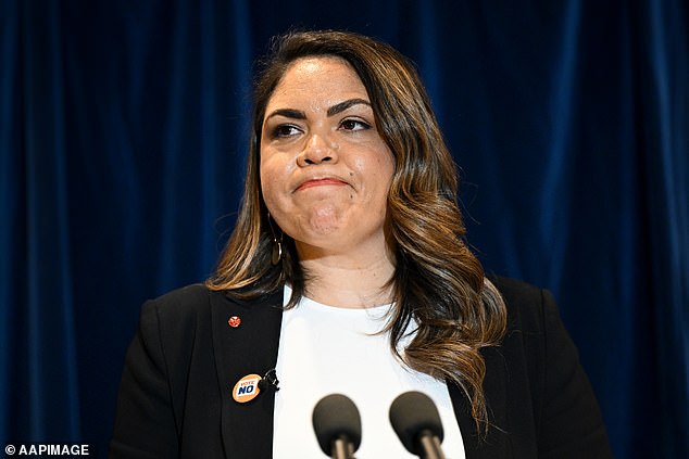 Ms Price also said she'd been wrongly accused of having sinister motives for calling for such an inquiry