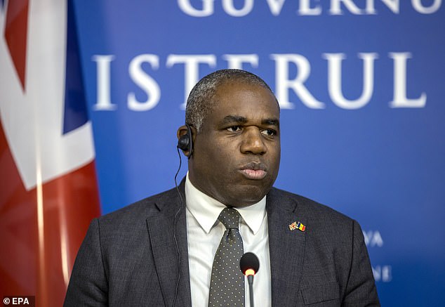 The Mail on Sunday previously revealed that Foreign Secretary David Lammy (pictured) had finally acted on desperate pleas to aid Marcus - but the family say more needs to be done