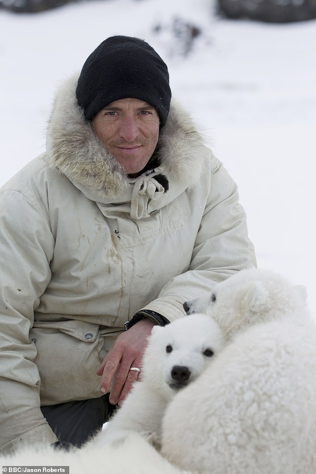 Buchanan with baby polar bears he encountered while filming the BBC series