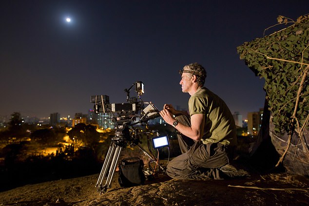 Buchanan has been a wildlife camerman for over 30 years - and is well aware of the risks