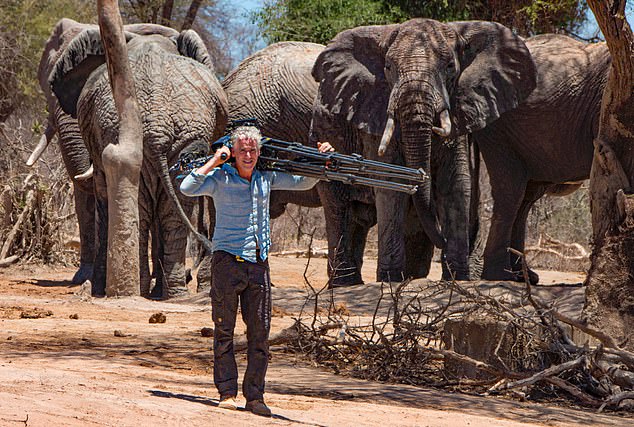 The photographer has travelled the world to capture animals in their natural surroundings