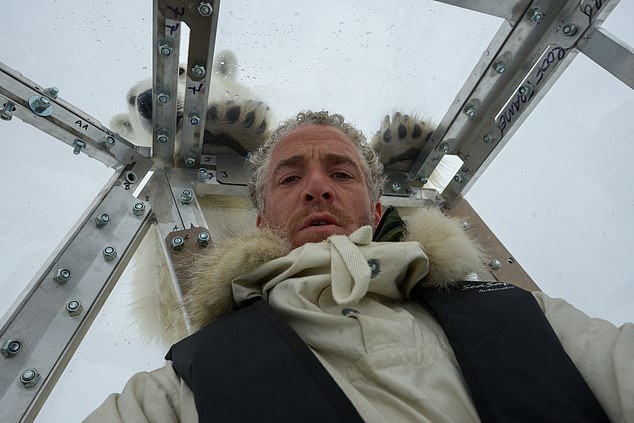 Buchanan admits not felling quite as safe as he should have as the polar bear attacked