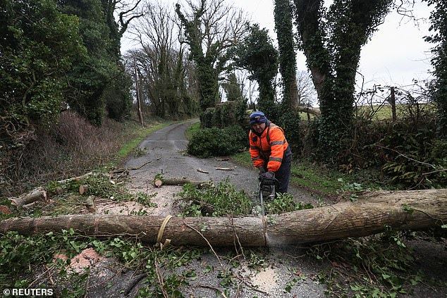 A man uses a chainsaw as he works on removing a tree which fell in Kilteel county Kildare, Irelandon Friday