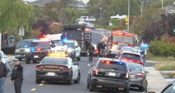 Famed guitarist killed in ‘dispute over tree trimmings’ after he grabbed three guns and opened fire from driveway