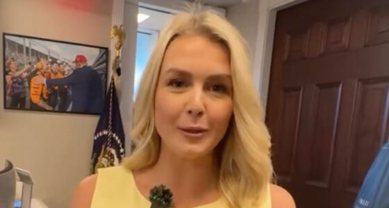 Press sec Karoline Leavitt praised as a ‘boss’ over controversial video as she runs into anti-Trump actor at White House