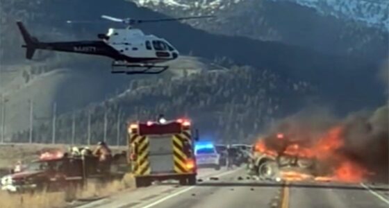 Tour van crash near Yellowstone National Park leaves 7 dead, police say