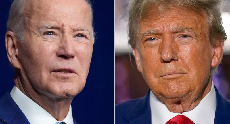 Biden and Trump border visits highlight immigration as election issue | US-Mexico Border News