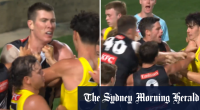 Cox ruffles feathers as Tigers react