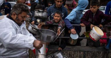 Dozens killed, injured by Israeli fire in Gaza while collecting food aid | Israel War on Gaza News