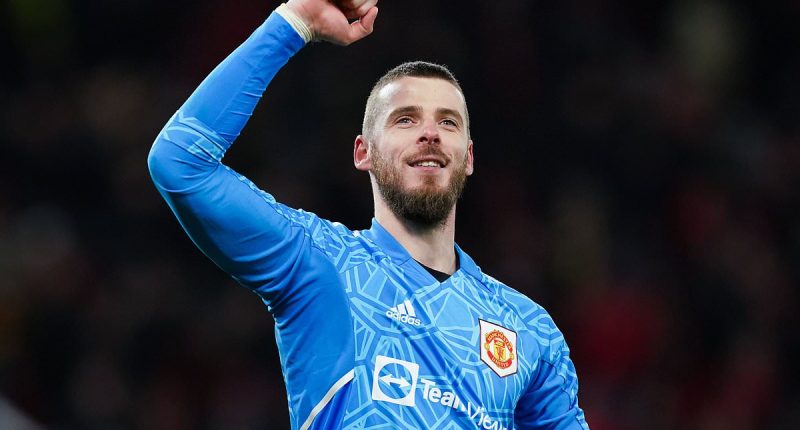 Ex-Man United star David de Gea 'is being monitored by Barcelona as a back-up option to Marc-Andre ter Stegen' as the cash-strapped Catalans 'weigh-up a move for the free agent'