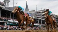 Horse racing oversight board reports equine fatality rate at tracks it regulates