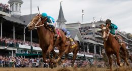 Horse racing oversight board reports equine fatality rate at tracks it regulates