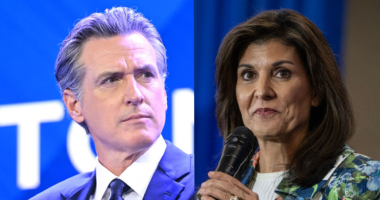 Newsom says Haley 'one of our better surrogates'