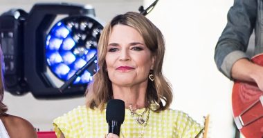 Savannah Guthrie Slams Scammers Selling Fake Copies of New Book