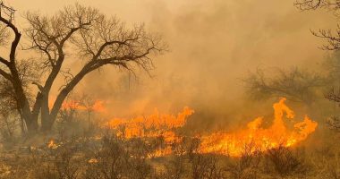 Texas wildfire nearly 900,000 acres of land