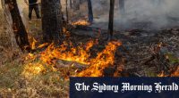 Victoria bushfires: