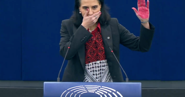 ‘There are no more words to say on Gaza’ Swedish MEP’s silent protest | Israel War on Gaza