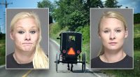 2 Minnesota Amish children dead; identical twins charged with swapping places, and case gets complicated