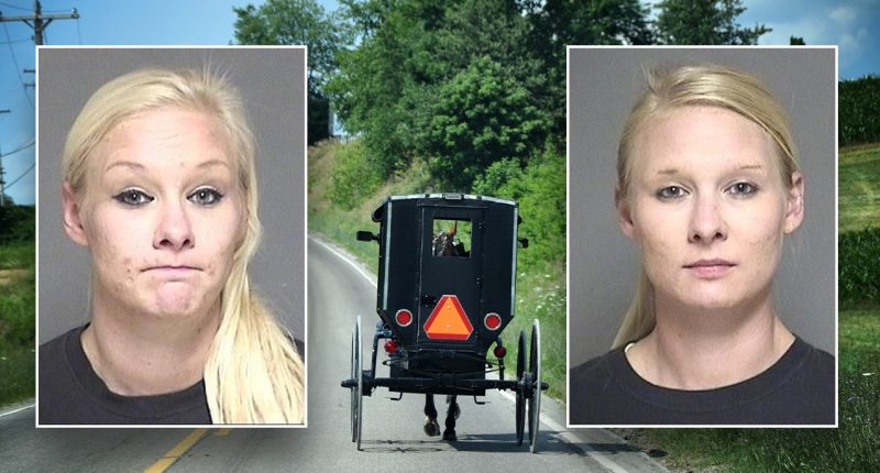 2 Minnesota Amish children dead; identical twins charged with swapping places, and case gets complicated