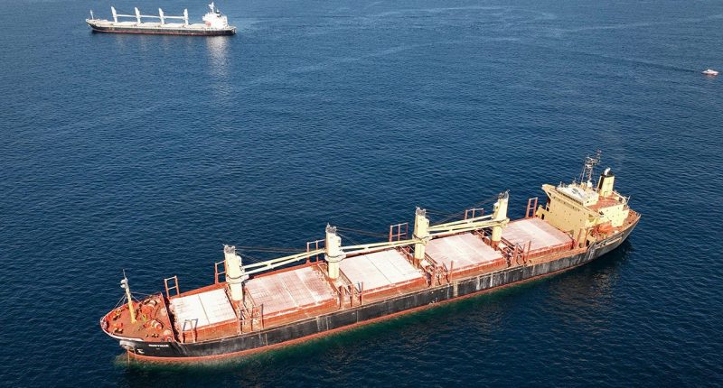 A cargo ship struck by the Iran-backed Houthis has sunk, first since onset of war