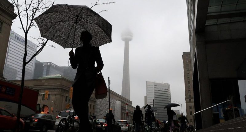 'A rain tax. Seriously, they want to tax the rain': Critics blast proposed charge for Toronto homeowners