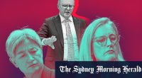 All may not be rosy in the Albanese cabinet