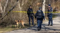 Arrest made, more body parts discovered in New York horror case