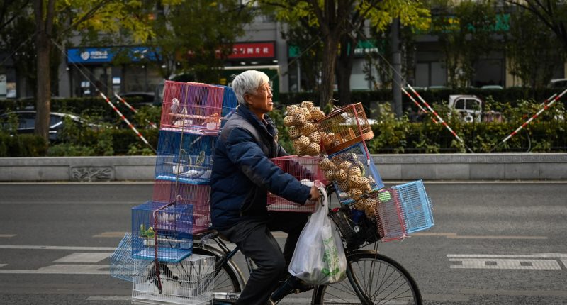 As China ages, senior citizens see a retirement of striving to get by | Business and Economy