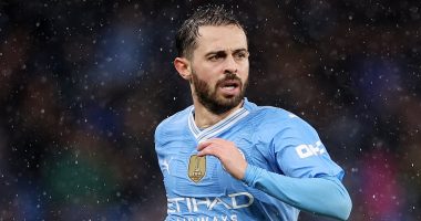 Bernardo Silva insists it would be a 'career and life goal' to finish playing football AWAY from Man City... and claims he could even complete romantic return to former club as soon as 'next year'