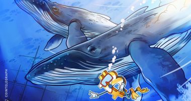 Bitcoin 'dumb money sells' as whales, sharks add 328K BTC in a month