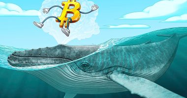 Bitcoin whale accumulation suggests that the pre-halving BTC rally will continue