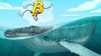 Bitcoin whales copy classic bull market moves as BTC price eyes $72K
