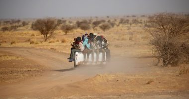 Bodies of 65 people found in mass grave in Libya: UN migration agency | Refugees News
