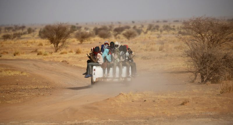Bodies of 65 people found in mass grave in Libya: UN migration agency | Refugees News