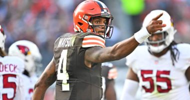 Cleveland Browns quarterback Deshaun Watson would approve of Cam Newton being brought in.
