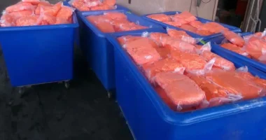 California border officers find thousands of pounds of meth in shipment of carrots