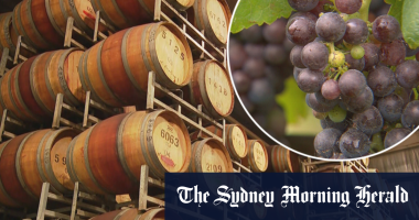 China lifts Aussie wine tariffs, reopening $1 billion market