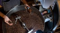 Coffee’s in danger: Can Vietnam’s Robusta save it from climate change? | Food
