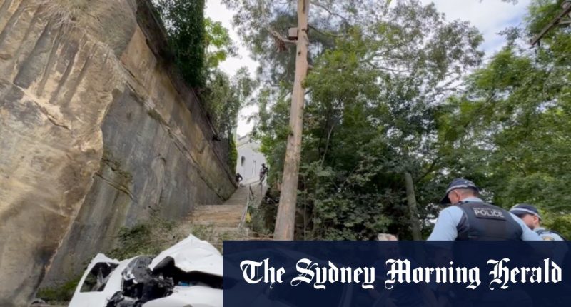 Driver survives 12-metre plunge over inner-Sydney cliff