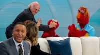 'Fraggle Rock' Puppeteers Respond to Larry David's Elmo Attack