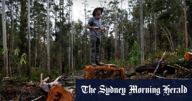 Geoff Cousins declares war on logging