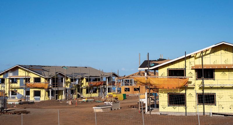 Hawaiian locals face housing crisis as regulatory costs drive up condo prices