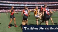 Hawks to challenge Sicily kicking incident