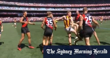 Hawks to challenge Sicily kicking incident