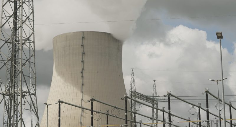 Is nuclear power on the verge of a revival? | Business and Economy