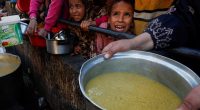Israel’s weaponisation of food in Gaza | Newsfeed