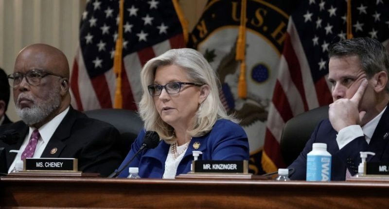 Liz Cheney, Jan. 6 Committee suppressed evidence of Trump pushing for 10,000 National Guard troops to protect Capitol