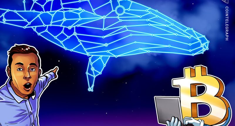 Over $6B worth of BTC moved by fifth-richest Bitcoin whale
