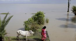 Protecting climate refugees requires a legal definition | Climate Crisis